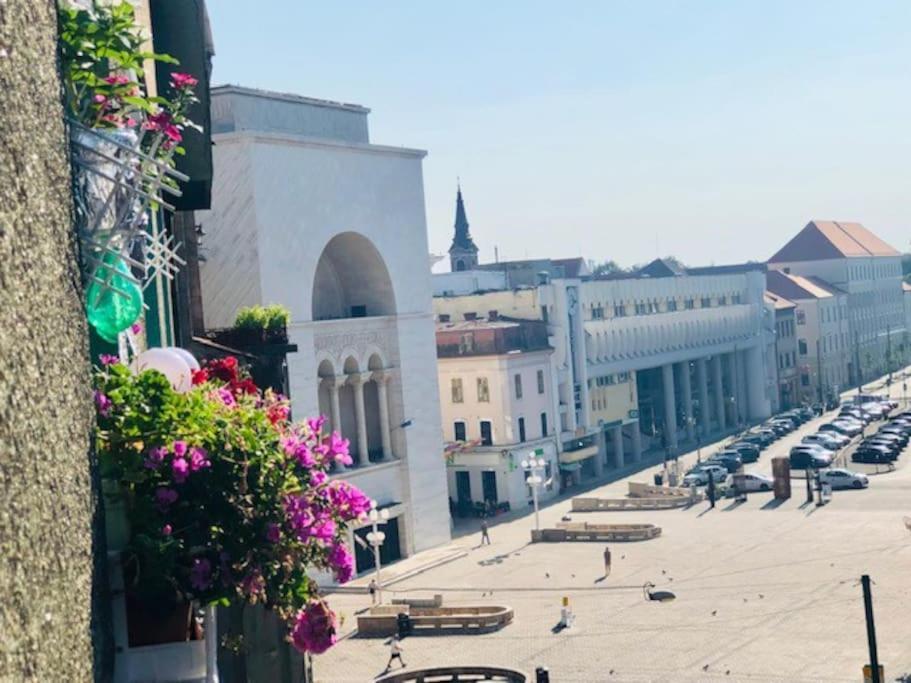 Joy City Stay Republicii 19 Timisoara Ngoại thất bức ảnh